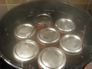 jars in the canner